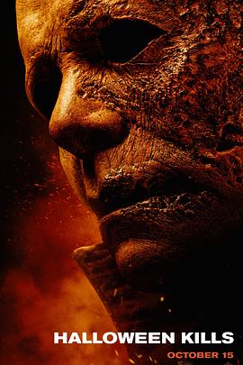 安阳官网网站优化公司